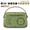 Ledwood ALMA GREY - Transistor Radio - 30 W - Groen