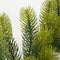 Black Box Trees Nigata Guirlande - LED Verlichting 40 lampjes - L270 cm - Groen