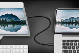USB-C™- DisplayPort-adapterkabel (4k 60 Hz), 1,20 m, zwart