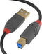 USB Cable LINDY 36744 5 m Black Grey