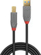 USB Cable LINDY 36744 5 m Black Grey