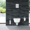 GROHE Arena Cosmopolitan S - Bedieningspaneel Toilet - Dual Flush - Hard graphite (glanzend antraciet) - Slank formaat