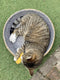 Yeowww! Banaan Kicker - Catnip Kattenkruid Speeltje voor Katten - Geel - 18 cm