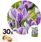 Plant in a Box - Crocus Pickwick - Bloembollen x30 - Krokus - Paars / Geel