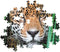 Clementoni - Puzzel 500 Stukjes - Jaguar in de Jungle - Multicolor