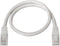 UTP Category 6 Rigid Network Cable Aisens A135-0252 3 m White