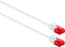 UTP Category 6 Rigid Network Cable Ewent White