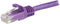 UTP Category 6 Rigid Network Cable Startech N6PATC50CMPL Lilac Purple 50 cm