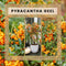 Perfect Garden | Set van 2 gele Vuurdoorn planten | 15 cm Ø | 60 cm | Pyracantha coccinea Sunny Star | Vuurdoorn haag | winterharde planten voor in de tuin | Tuinplanten
