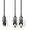 Nedis COTH23200GY50 - Audiokabel 6.35mm-naar-3.5mm - 500cm - Grijs