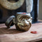 Scentchips® Monkey Big Smile - Waxbrander - Geurbrander - Oliebrander - Wax Melts Brander - Aromabrander - Ook Geschikt Voor Essentiële Oliën - Geurolie - Waxmelts - Mat Goud