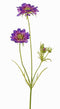 Driesprong collection - Scabiosa paars kunstbloem zijde nepbloem