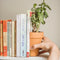 Suck UK Bloempot Boekensteun - Set van 2 Halve Bloempotten - Bruin