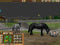 Atari Wildlife Park 2 - Add-On Paardenboerderij - PC - Simulatie en Strategie