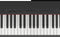 Yamaha P-225 Stage Piano (Black) - Stage piano