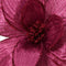 Poinsettia fluwl d30h15 cm groentappl