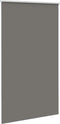 vidaXL - Rolgordijn - verduisterend - 120x210 - cm - stofbreedte - 116,6 - cm - grijs