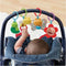 Speelkleed Vtech Baby 80-190605