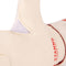 Stanno Ultimate Grip JR III Keepershandschoenen Keepershandschoenen - Maat 7