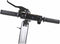 Electric Scooter Surpass Pro 2 Black Edition 350 W 25 km