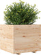 vidaXL - Plantenbak - 80x80x72 - cm - massief - grenenhout