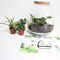 Plant Puzzel ® Discover the World Ecosysteem met verlichting - Broekhof Adding Value - Groene plant- Hoogte 25 cm