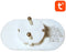 Gosund SP211 - Smart Stopcontact - Dubbel met Schakelaar - IFTTT Alexa Google Home Compatibel