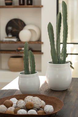 J-Line plant Cactus 3 Stuks In Pot - kunststof - groen - small