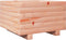 vidaXL - Plantenbak - 40x40x26,5 - cm - massief - douglashout
