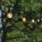 LUMI JARDIN - Zonneslingerkooi - 10 LED-lampen - Waterbestendig - 3,8 m