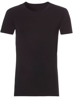Ten Cate Heren Bamboe T-Shirts - Ronde Hals of V-Hals - Antibacterieel Duurzaam (3 stuks)