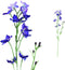 PTMD Delphinium Flower Kunsttak - 34 x 10 x 70 cm - Paars