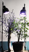 Parus by Venso E27 Kweeklamp