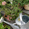 Plint Retro Stalen gieter 5 liter - Zink