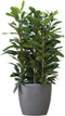 Elho Brussels Rond Wielen 47 - Grote Bloempot - 100% Gerecycled Plastic - Ø 46.5 x H 43.5 cm - Antraciet