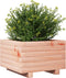 vidaXL - Plantenbak - 40x40x26,5 - cm - massief - douglashout