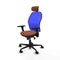 Piqueras y Crespo 3D036N2 - Bureaustoel - Verstelbare hoogte hoofdsteun - Blauw Bruin
