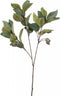 Emerald - Kunsttak Eucalyptus met vruchten 80cm groen - Kunstplanten voor binnen