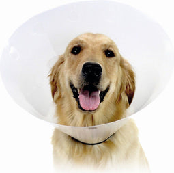 Elizabethan Dog Collar KVP Check Transparent (38-50 cm)