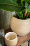 Ter Steege Plantenpot - moderne look - beige - 31 x 28 cm - bloempot