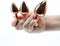 REAR ASSETS TRAINER KIT ROSE GOLD PINK HEART