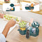 Babymoov Keukenrobot Nutribaby+™ Opal Green