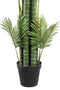 PTMD Hawaii Palm Kunstplant - 200 x 145 x 250 cm - Plastic Pot - Groen