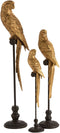J-Line decoratie Papegaai Stok - polyresn - goud/bruin - large