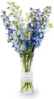 Vaas met witte ringen 'pleun' h26 d10 cm