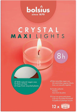 Bolsius - Maxi - Theelichten - 12 stuks per verpakking - Clear cup - Doos