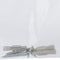 Westmark Kruidenrek, incl. bevestigingsmateriaal, lengte: 37,9 cm, kunststof, Parato, wit, 52202260