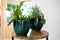 Ter Steege Bloempot Forest Groen D 24 cm H 23 cm Opening 20.5 cm