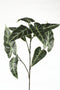 PTMD Leaves Plant Olifantsoor Kunsttak - 46 x 38 x 97 cm - Groen