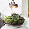 Growing Concepts DIY Duurzaam Ecosysteem Demeter lamp - H38xØ37cm
